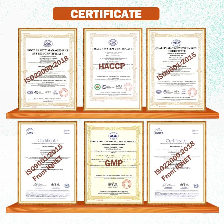 Certificate-KINTAI Certificate-KINTAI