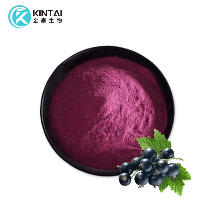 Black Currant Extract