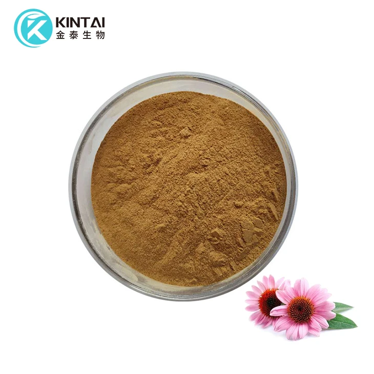 Echinacea Purpurea Herb Extract