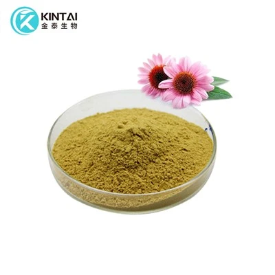 Echinacea extract Echinacea extract
