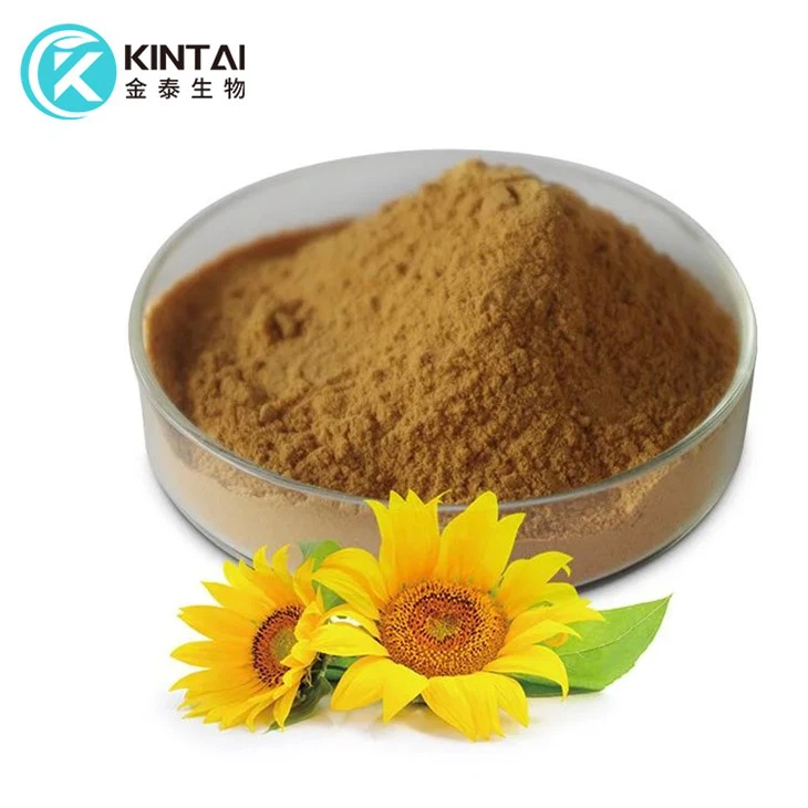 Sunflower Lecithin Pure Powder